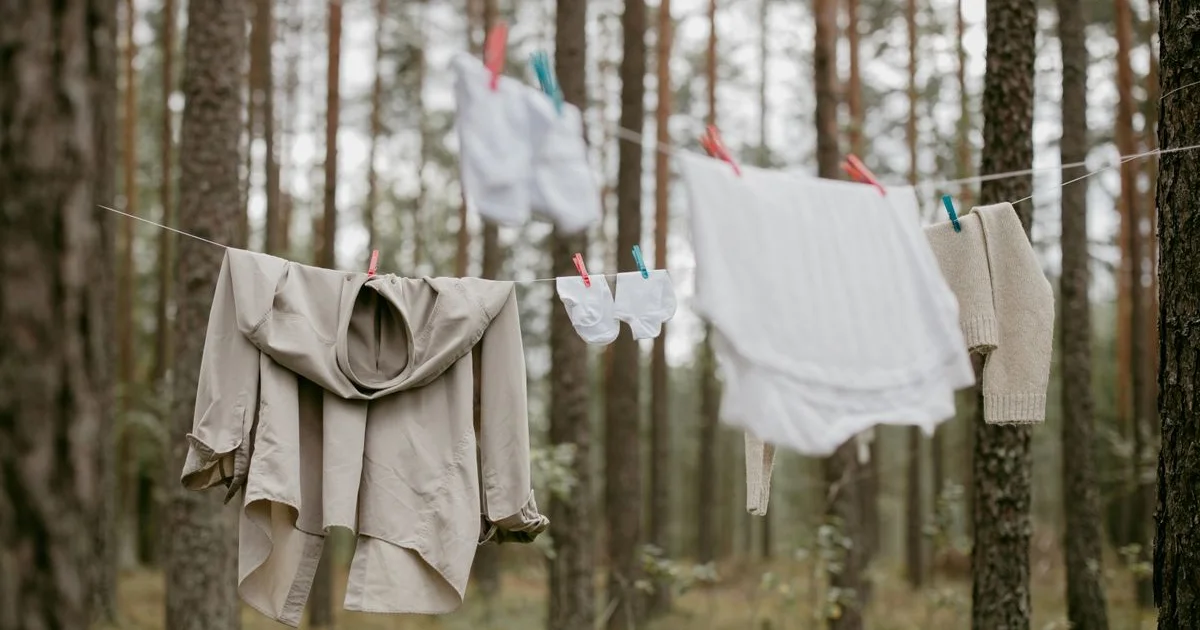 Linge suspendu sur une corde à linge entre des arbres en forêt