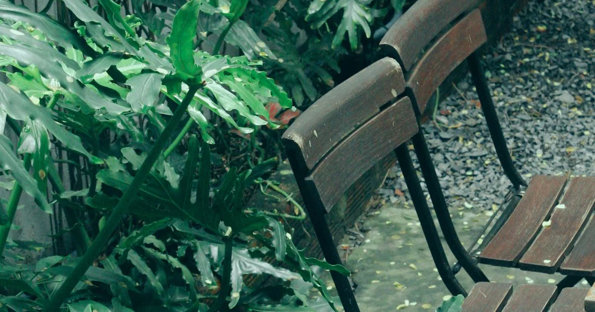 Nettoyage d'une terrasse en bois au savon noir dilué avec un balai-brosse