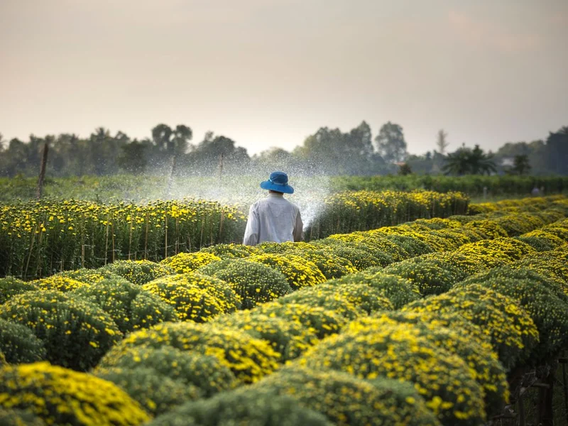 Pulvérisateur professionnel en action sur plante